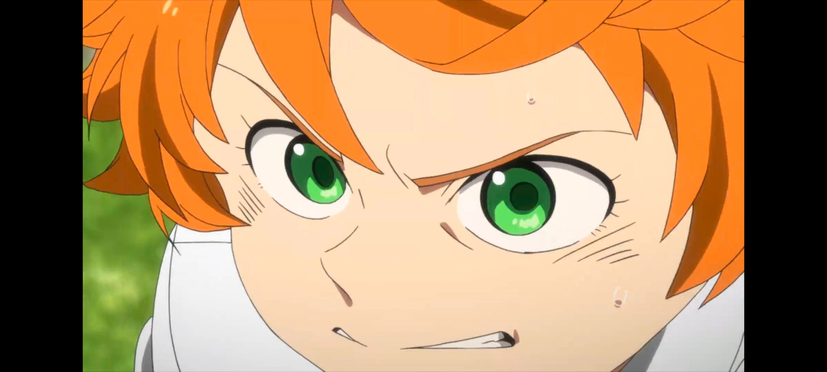 约定的梦幻岛,动画,动漫,番剧,二次元,ACG