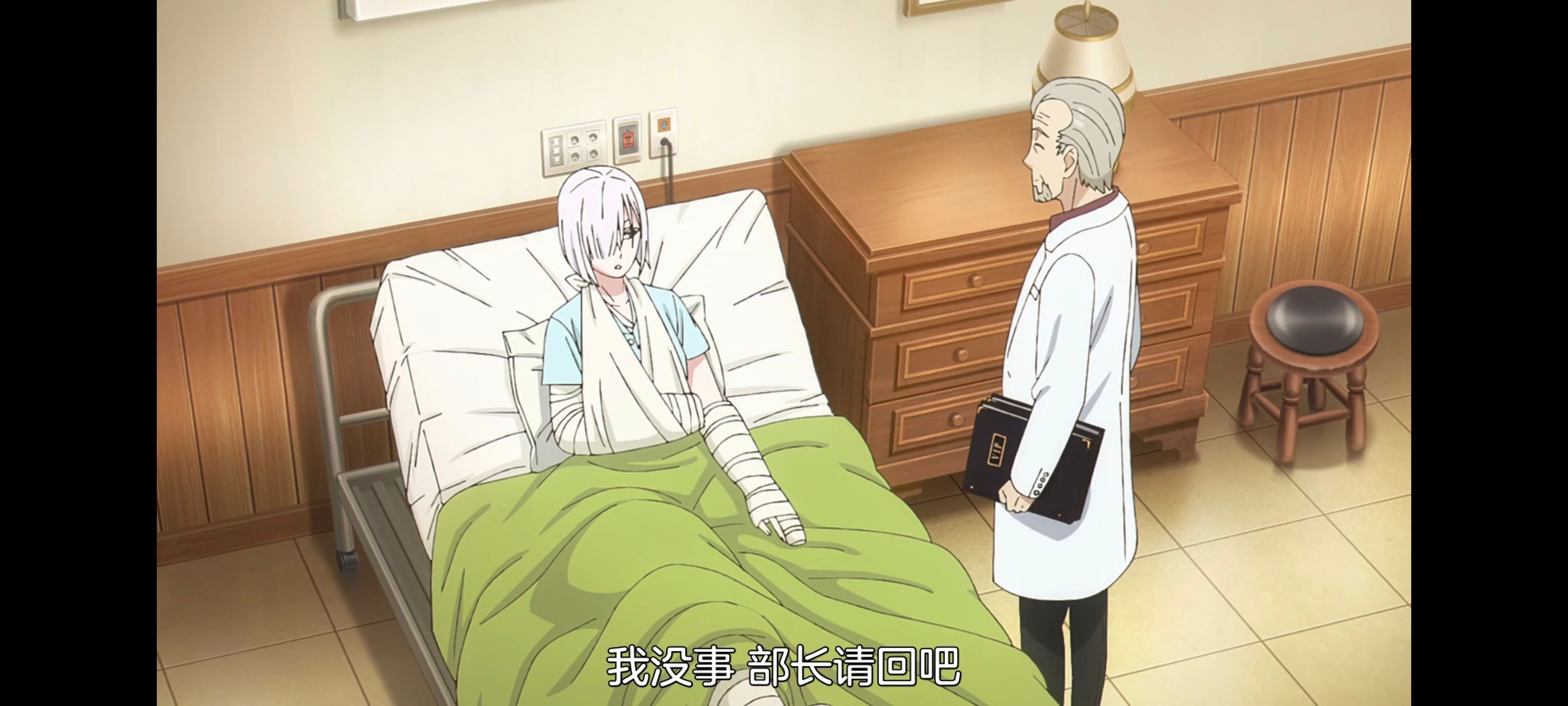 间谍过家家,SPYFAMILY,动画,动漫,番剧,ACG