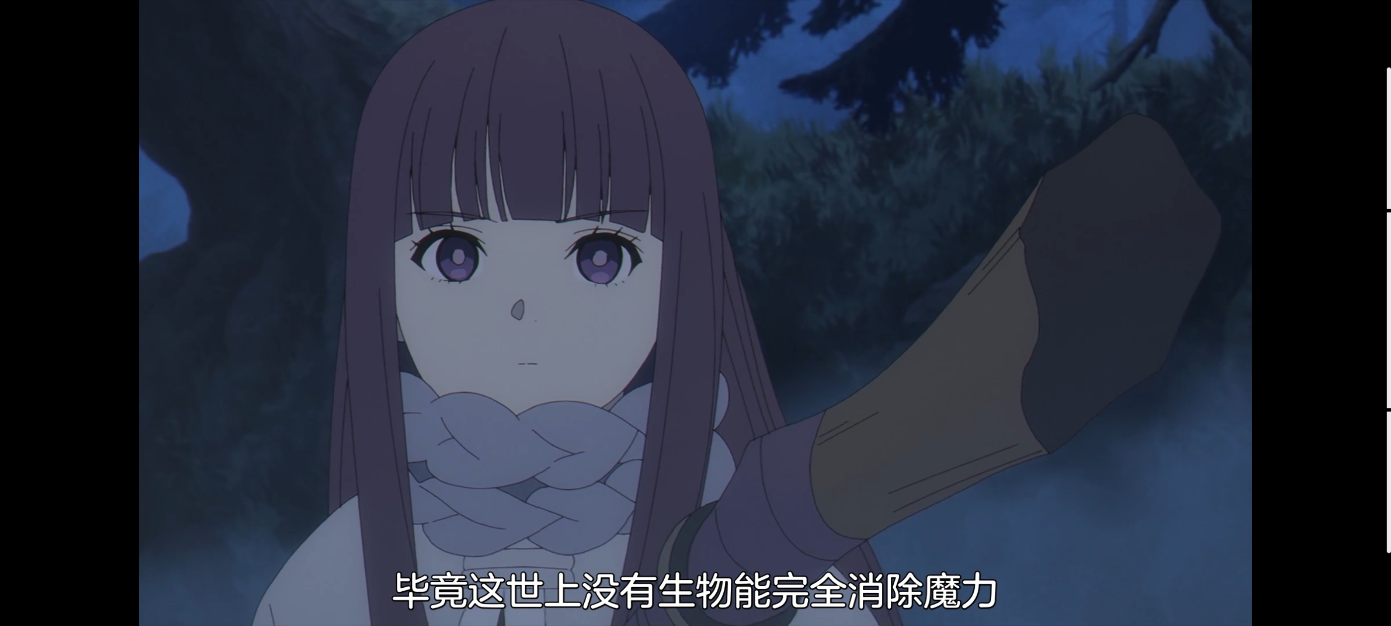 葬送的芙莉莲,动画,动漫,番剧,ACG,二次元