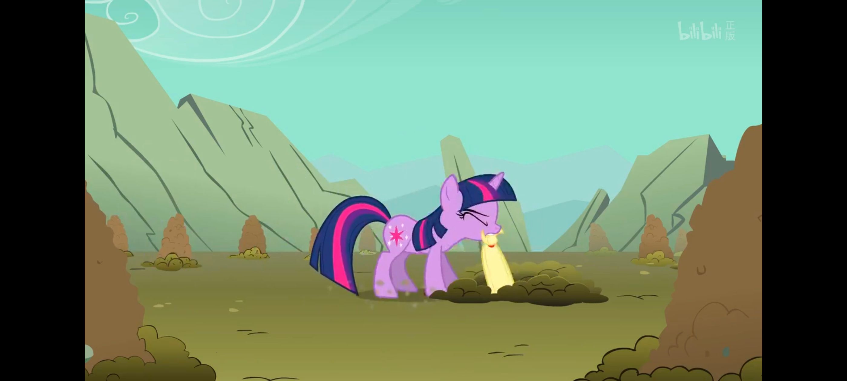 彩虹小马,小马宝莉,我的小马驹,小马宝莉友谊魔法,动画,动漫,番剧,ACG