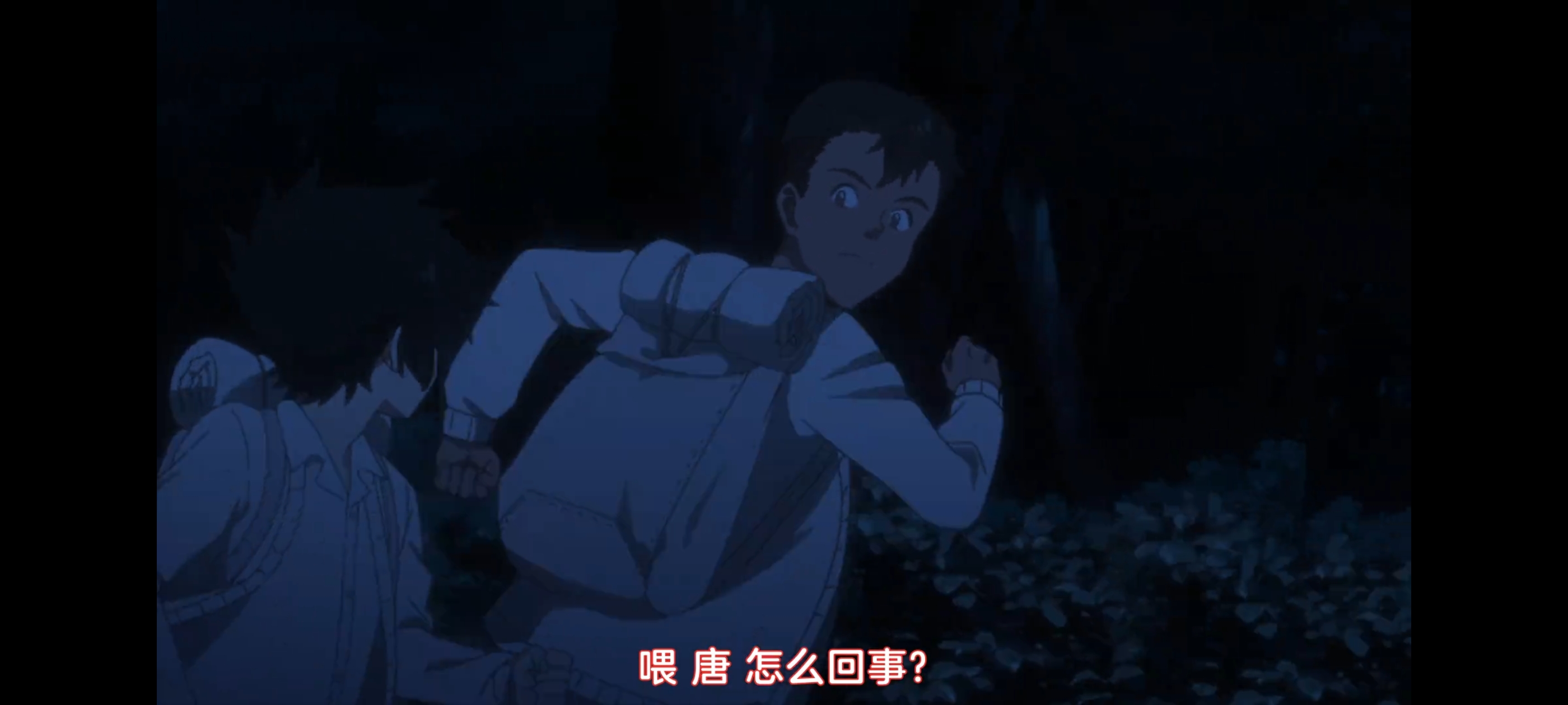 约定的梦幻岛,动画,动漫,番剧,二次元,ACG