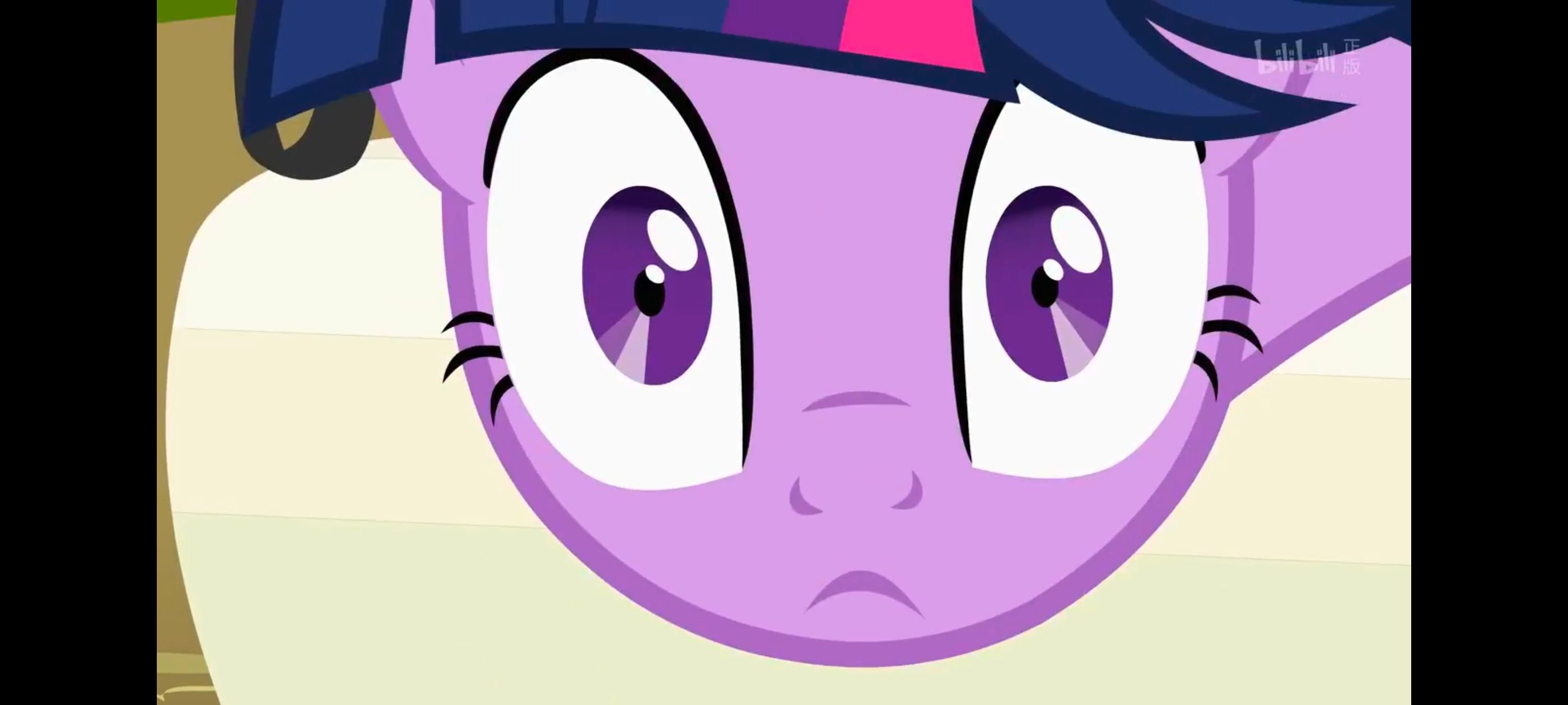 小马宝莉,小马宝莉友谊魔法,彩虹小马,我的小马驹,动画,动漫,番剧,ACG