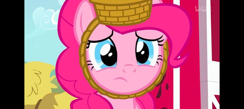 小马宝莉,小马宝莉友谊魔法,彩虹小马,我的小马驹,动画,动漫,番剧,ACG