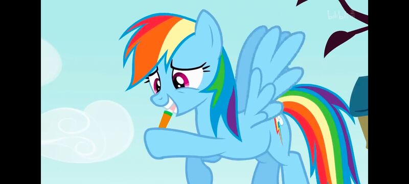 小马宝莉,小马宝莉友谊魔法,彩虹小马,我的小马驹,动画,动漫,番剧,ACG