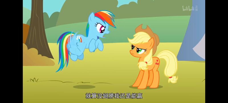 小马宝莉,小马宝莉友谊魔法,彩虹小马,我的小马驹,动画,动漫,番剧,ACG