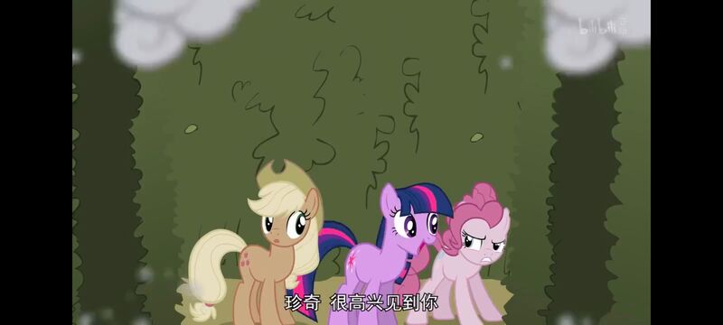小马宝莉,小马宝莉友谊魔法,彩虹小马,我的小马驹,动画,动漫,番剧,ACG