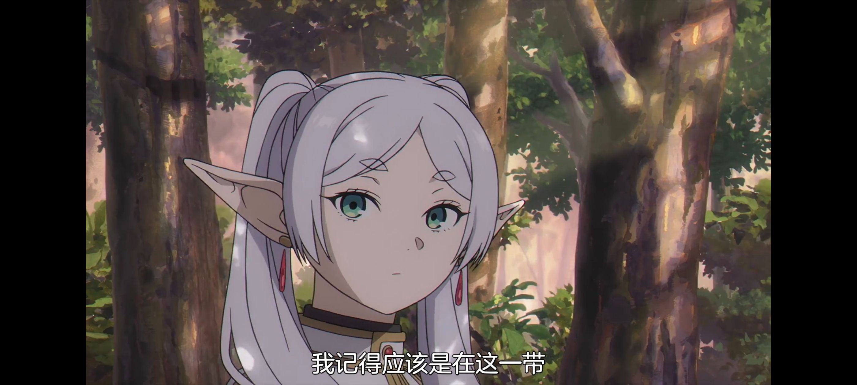 葬送的芙莉莲,动画,动漫,番剧,ACG