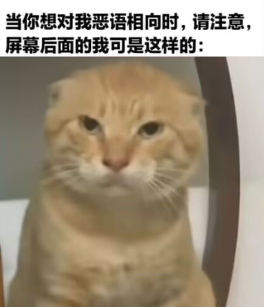 弔图,meme,迷因