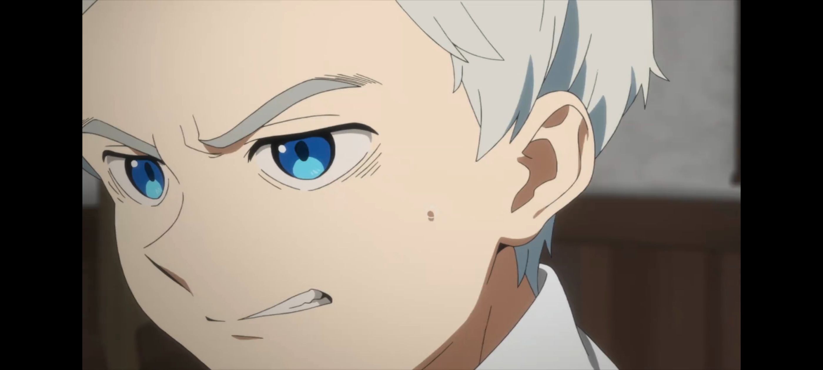 约定的梦幻岛,动画,动漫,番剧,ACG