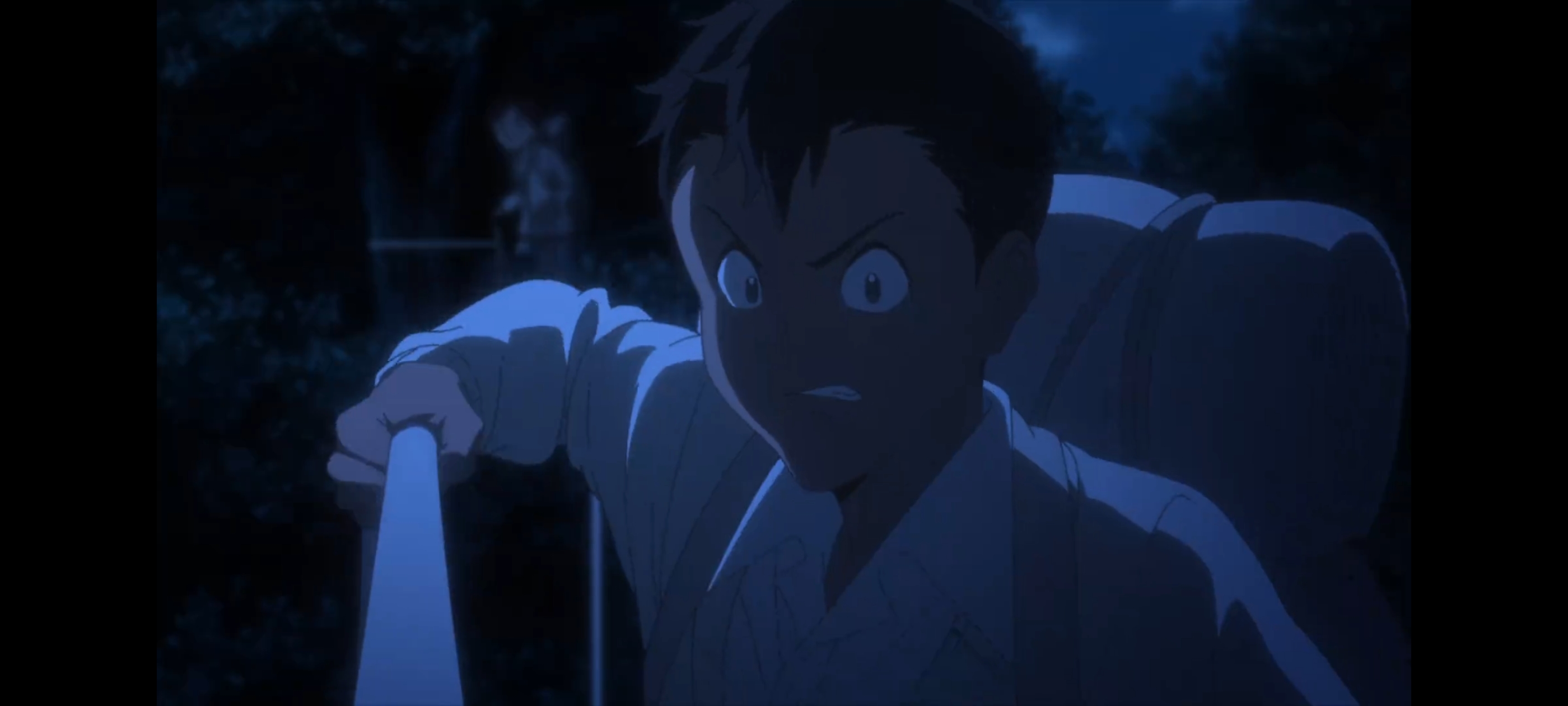 约定的梦幻岛,动画,动漫,番剧,二次元,ACG