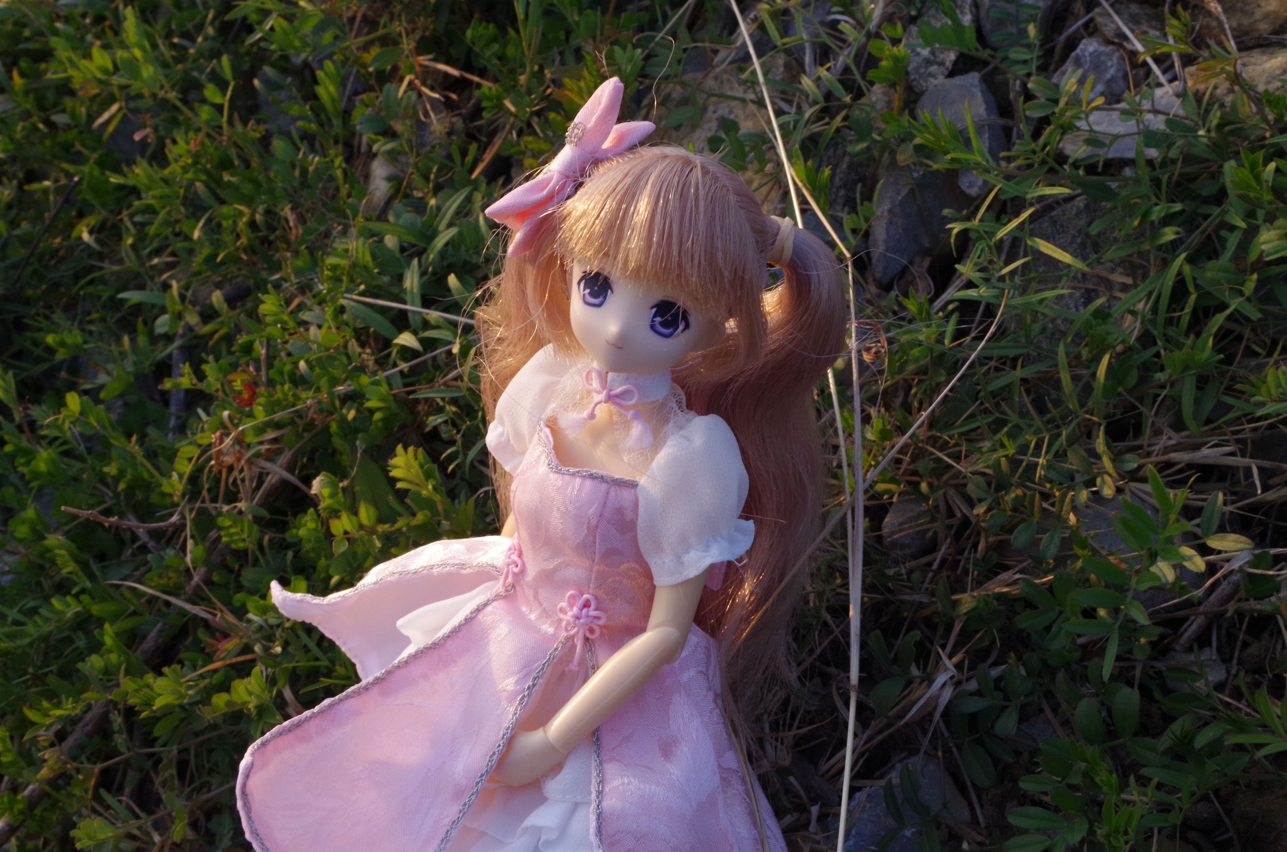摄影,azone