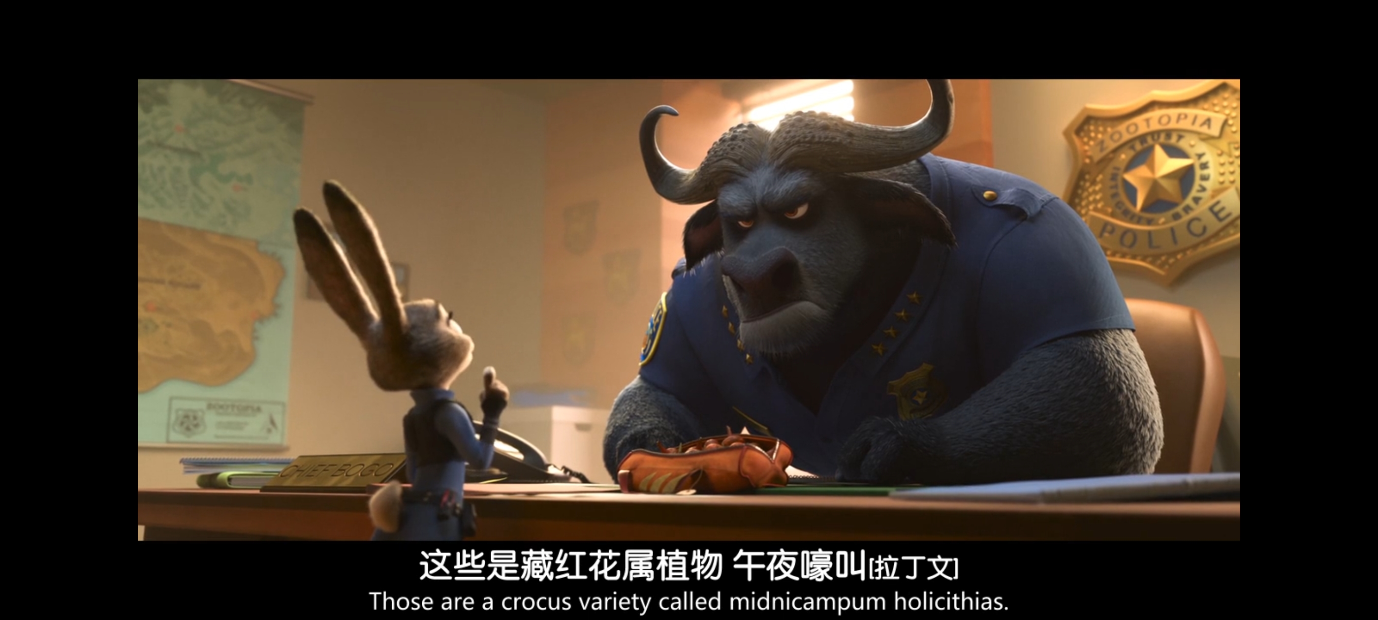 疯狂动物城,动画电影,动漫,动画,电影,二次元,ACG