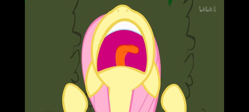 小马宝莉,小马宝莉友谊魔法,彩虹小马,我的小马驹,动画,动漫,番剧,ACG