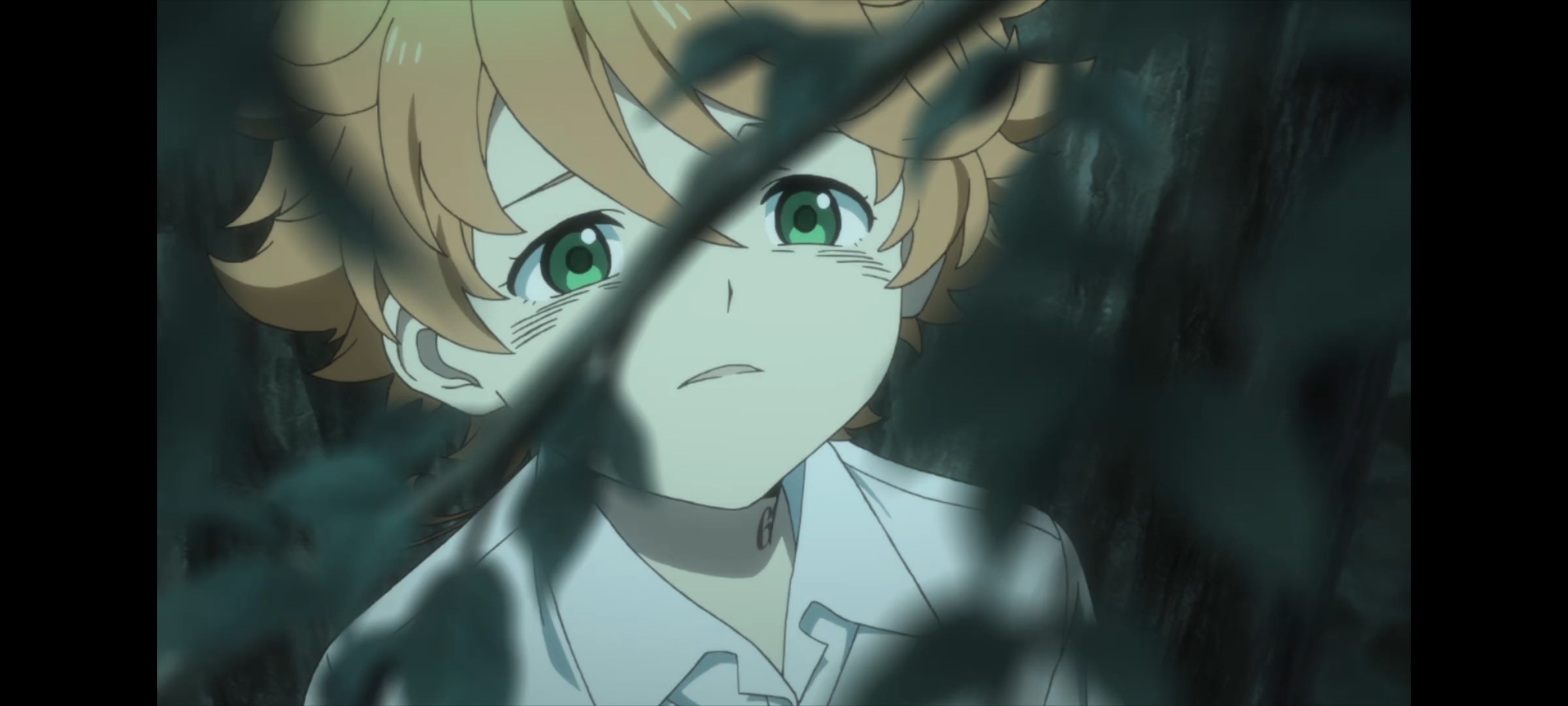 约定的梦幻岛,动画,动漫,番剧,二次元,ACG