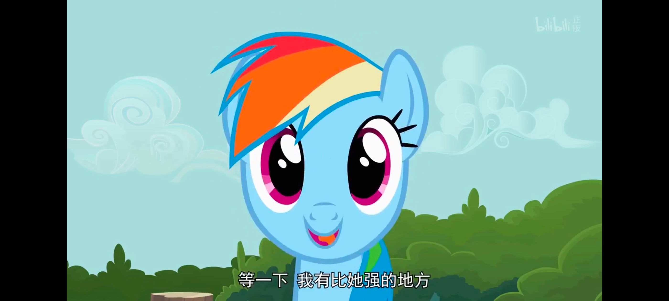 小马宝莉,彩虹小马,我的小马驹,动画,动漫,番剧,ACG