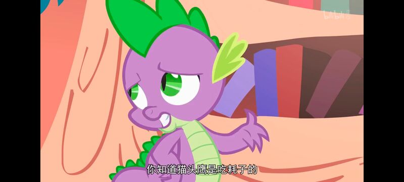 小马宝莉,彩虹小马,我的小马驹,动画,动漫,番剧,ACG,小马宝莉友谊魔法