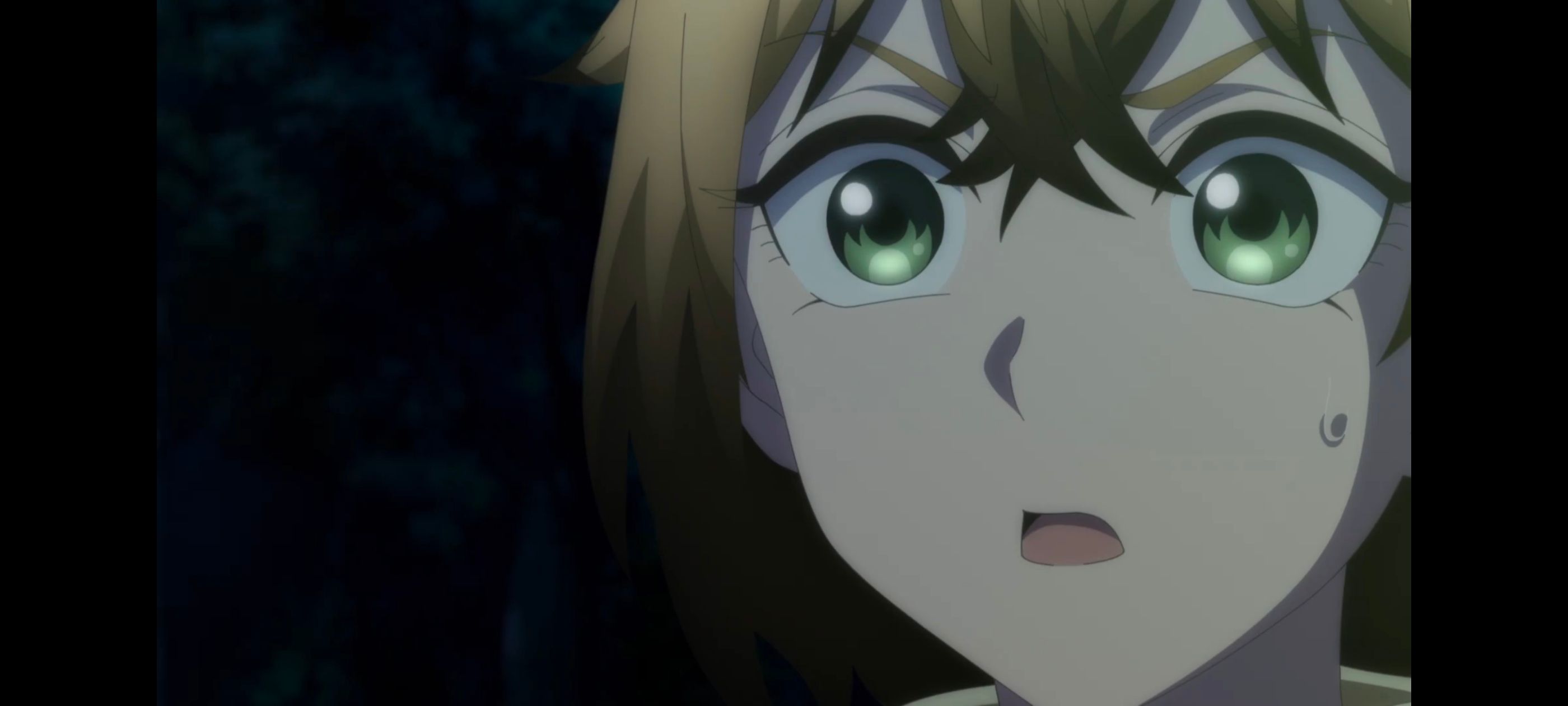 小伽椰并不可怕,神八小妹并不可怕,动画,动漫,番剧,二次元,ACG