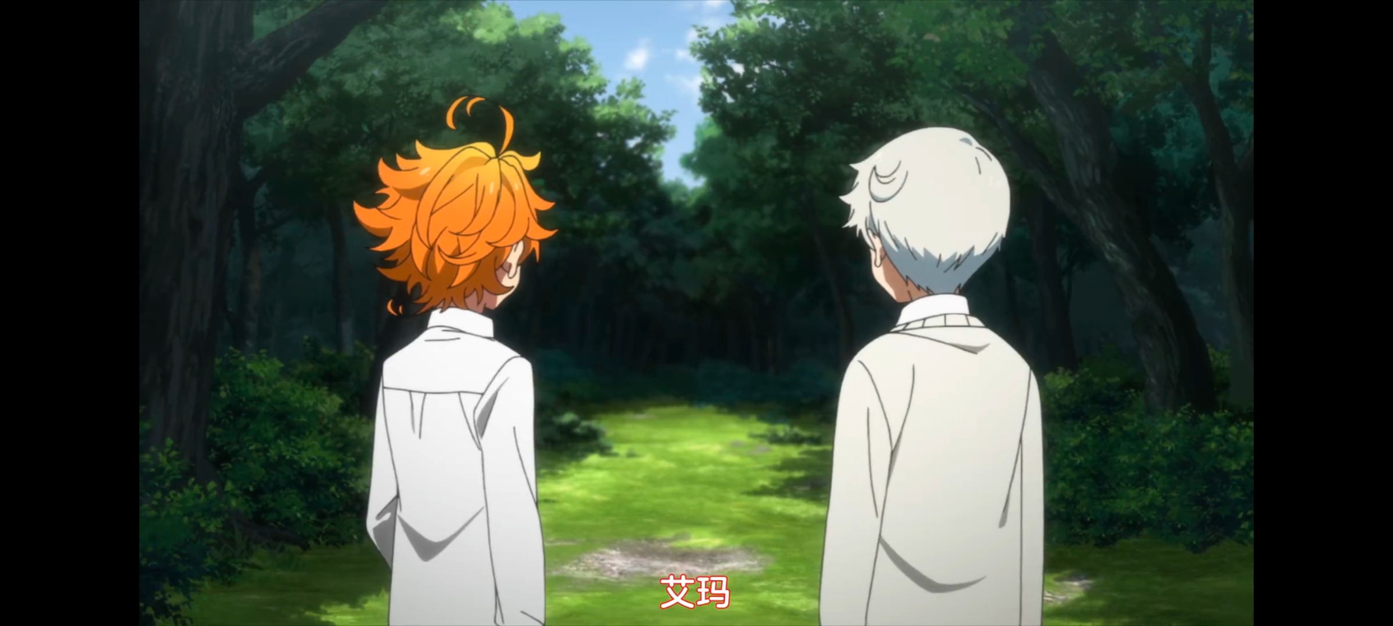 约定的梦幻岛,动画,动漫,番剧,二次元,ACG