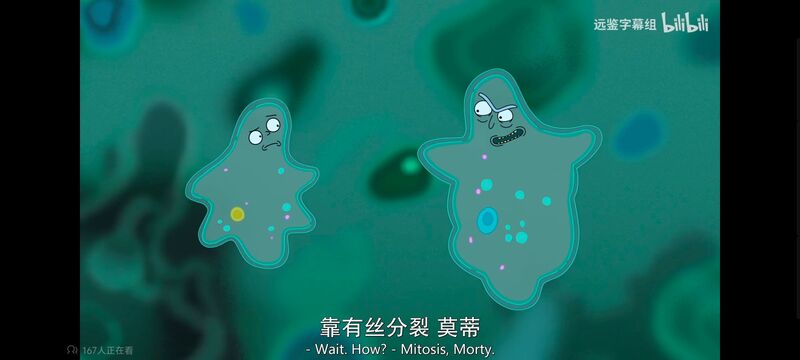 瑞克和莫蒂,瑞克与莫蒂,美漫,动画,动漫,番剧,ACG,欧美动漫