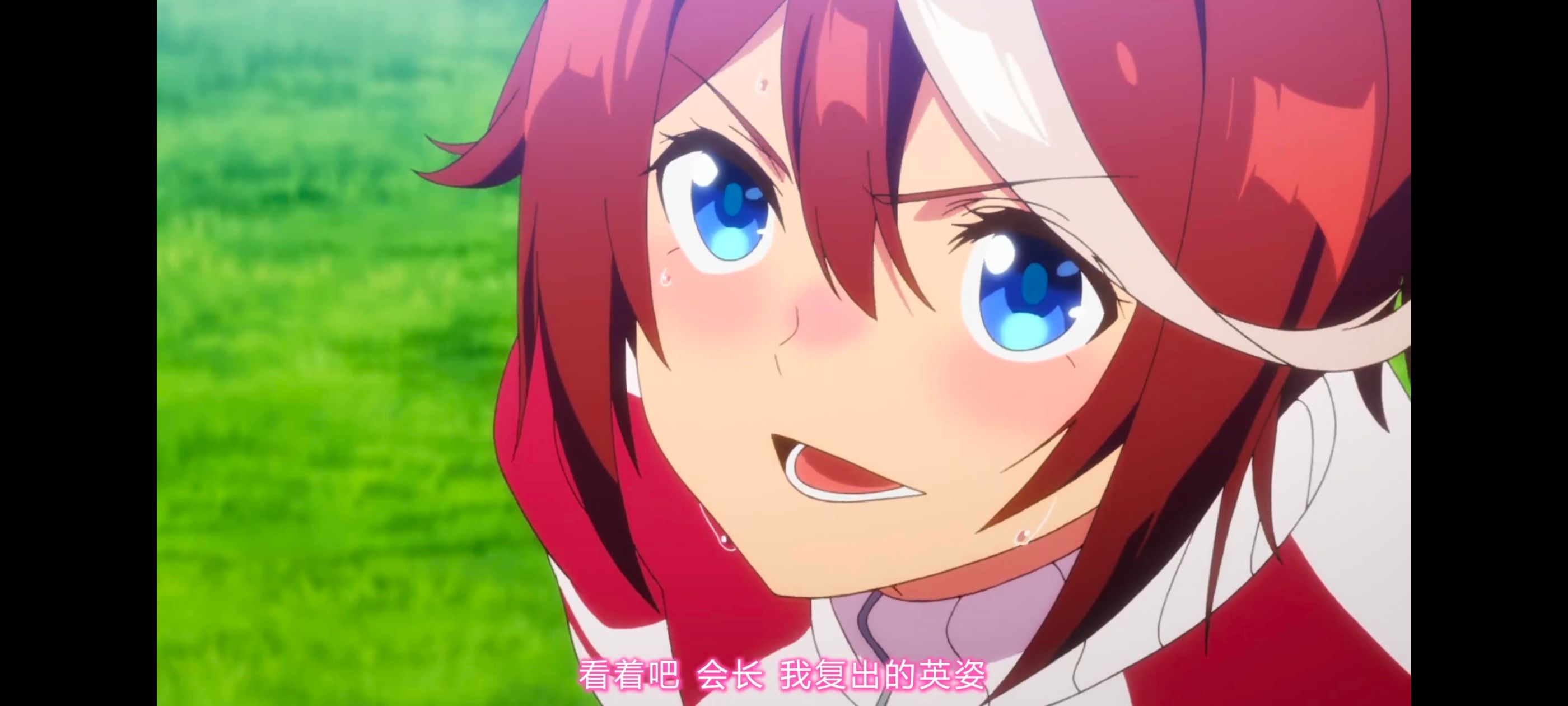 赛马娘,赛马娘PrettyDreby,赛马娘第二季,动画,动漫,番剧,ACG