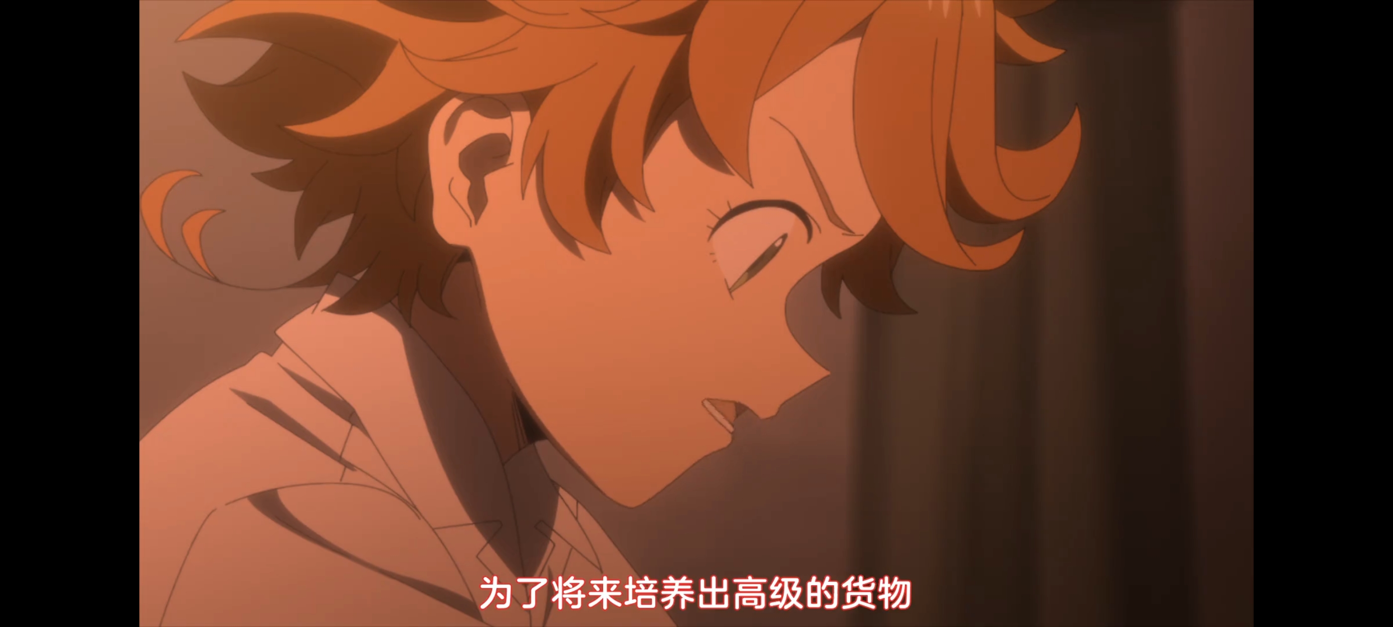 约定的梦幻岛,动画,动漫,番剧,二次元,ACG