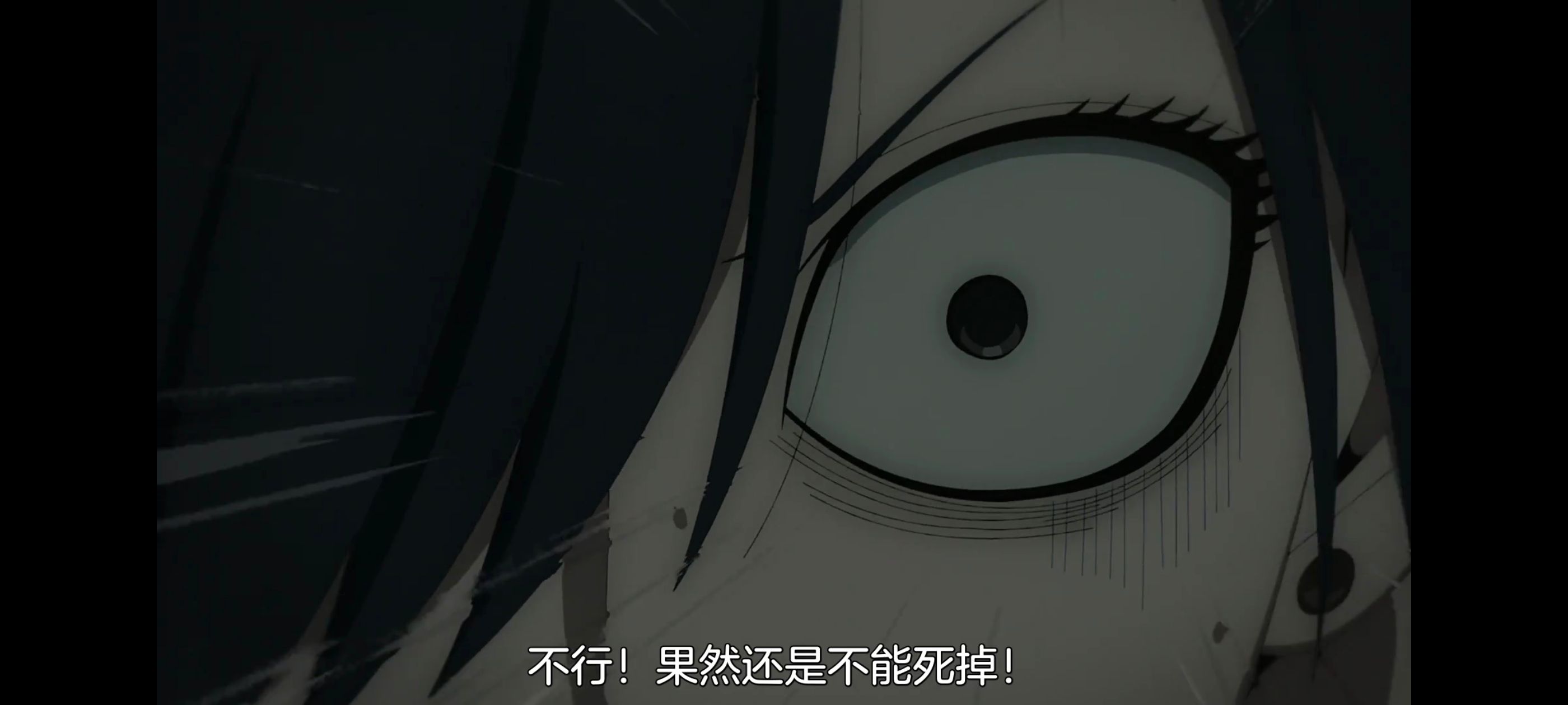 间谍过家家,SPYFAMILY,动画,动漫,番剧,ACG