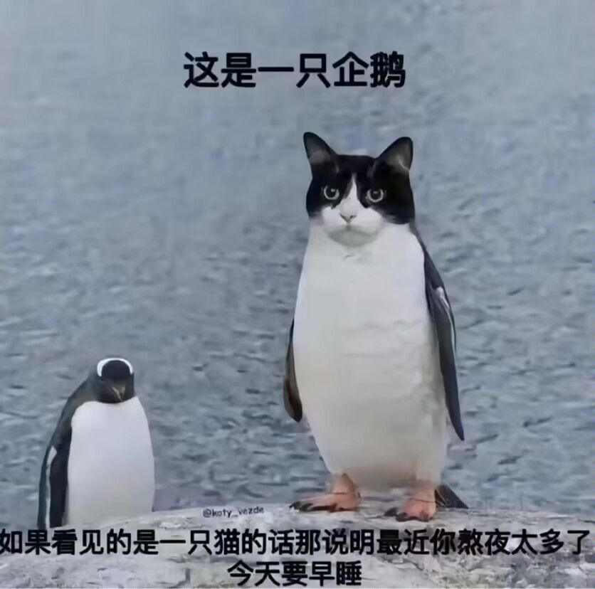 梗图,明日方舟,木柜子