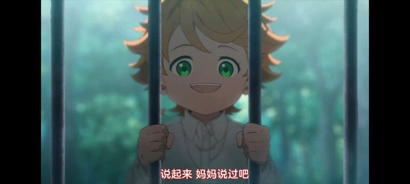 约定的梦幻岛,动画,动漫,番剧,ACG