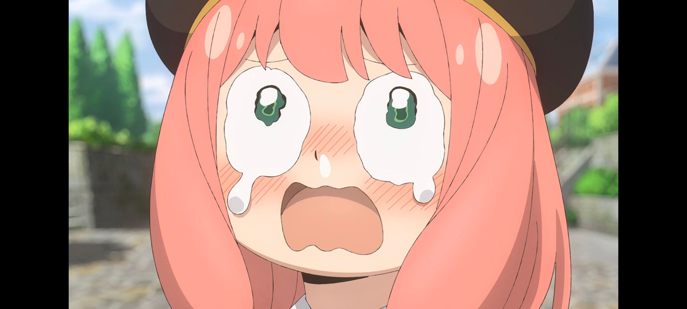 间谍过家家,SPYFAMILY,动画,动漫,番剧,ACG