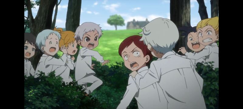 约定的梦幻岛,动画,动漫,番剧,ACG