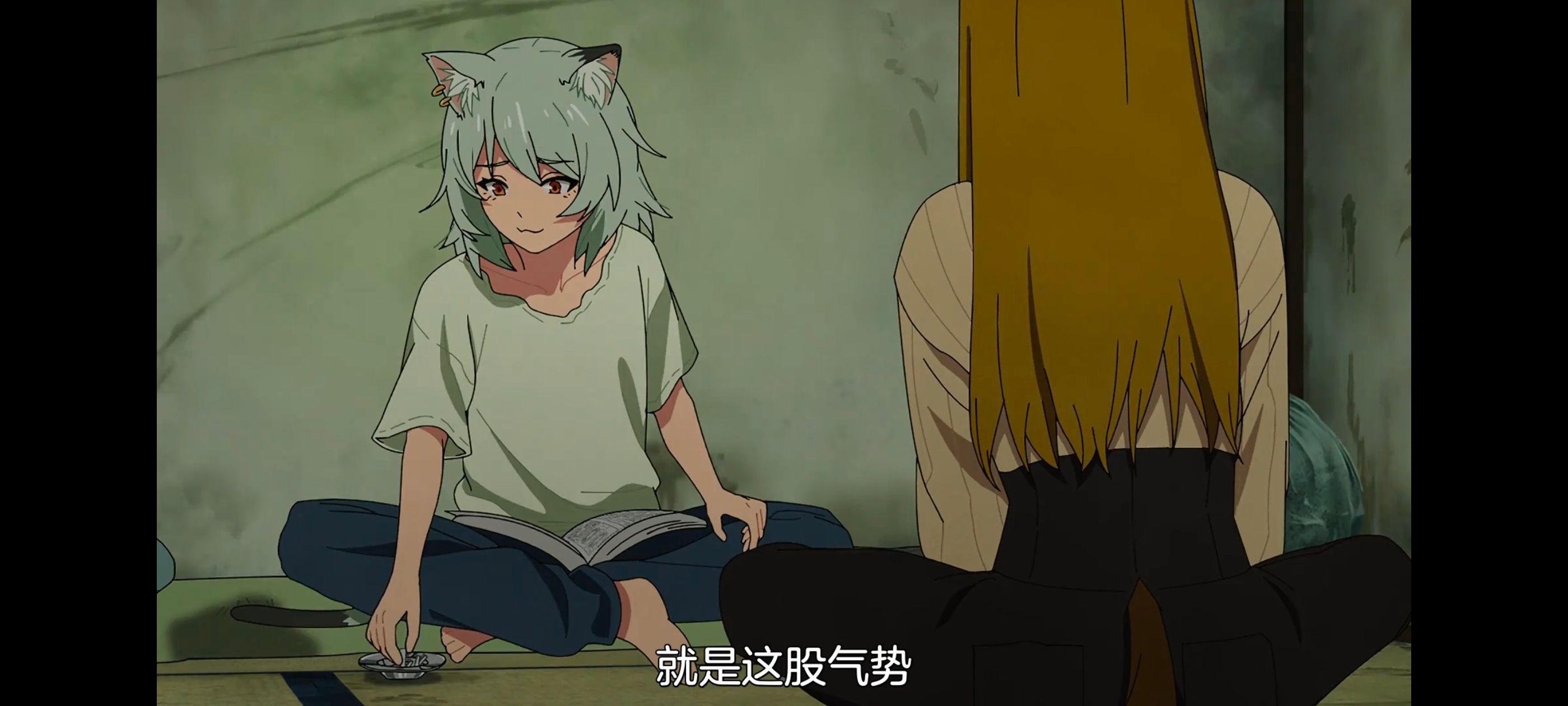 雅尼猫,尼古喵喵,动画,动漫,番剧,日漫,二次元,ACG