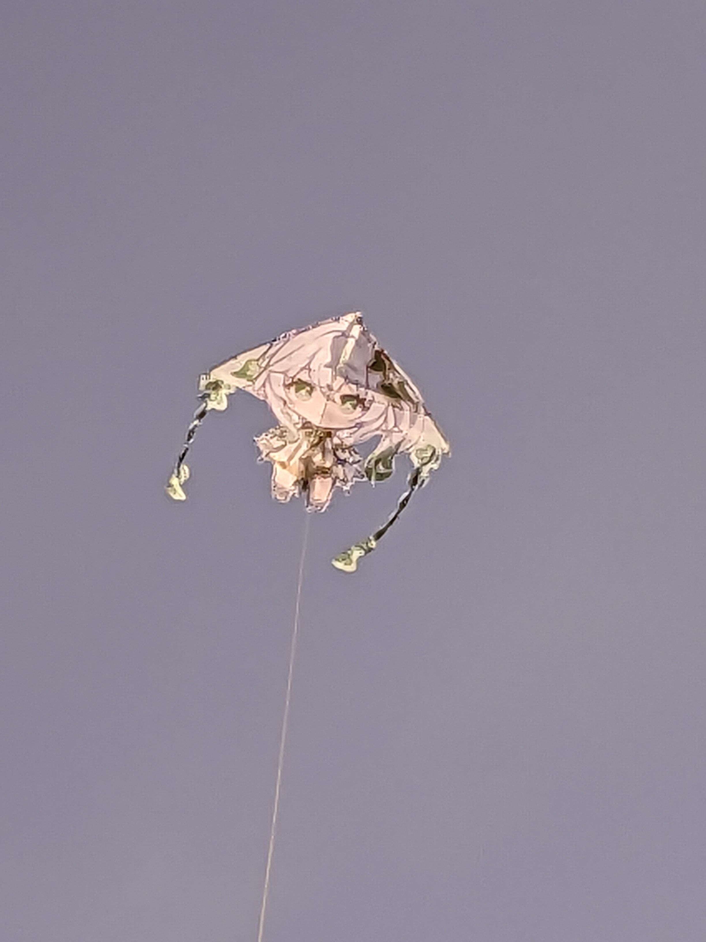 /static/752d7bc14671e22acdbb3828e1f1ea99201f000eeabf49267d80b4ac26e077de.jpg