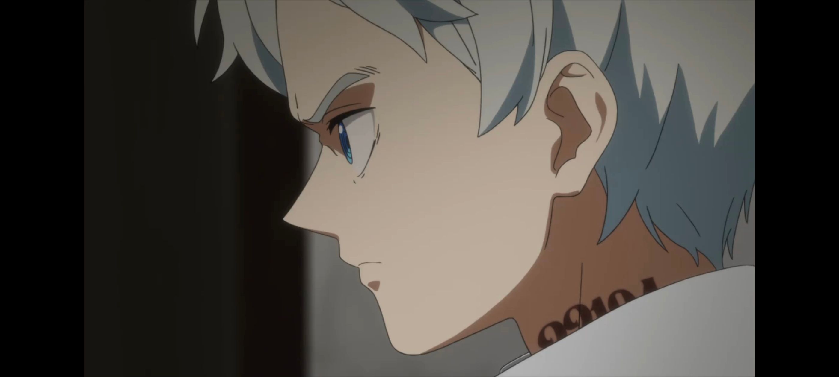 约定的梦幻岛,动画,动漫,番剧,二次元,ACG