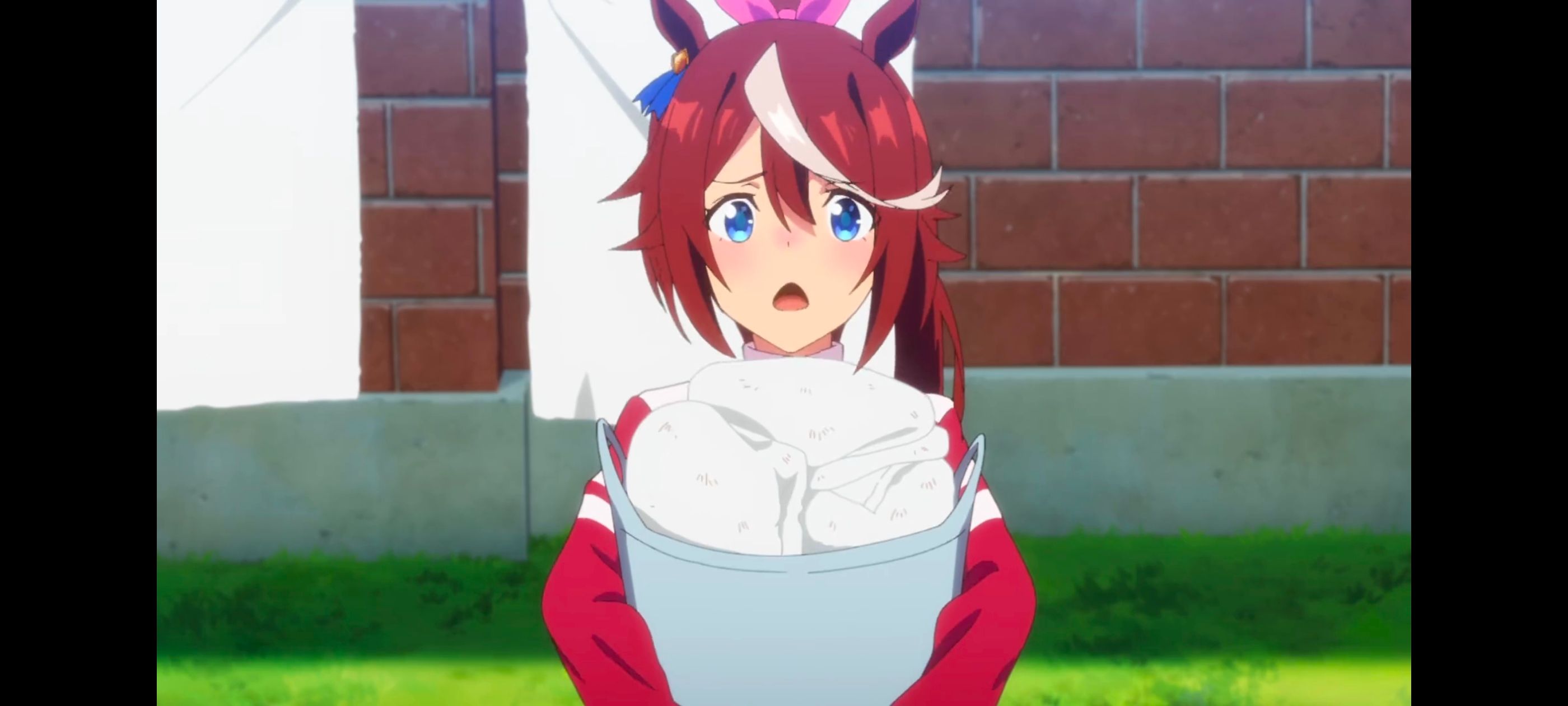 赛马娘,赛马娘PrettyDreby,动画,动漫,番剧,ACG