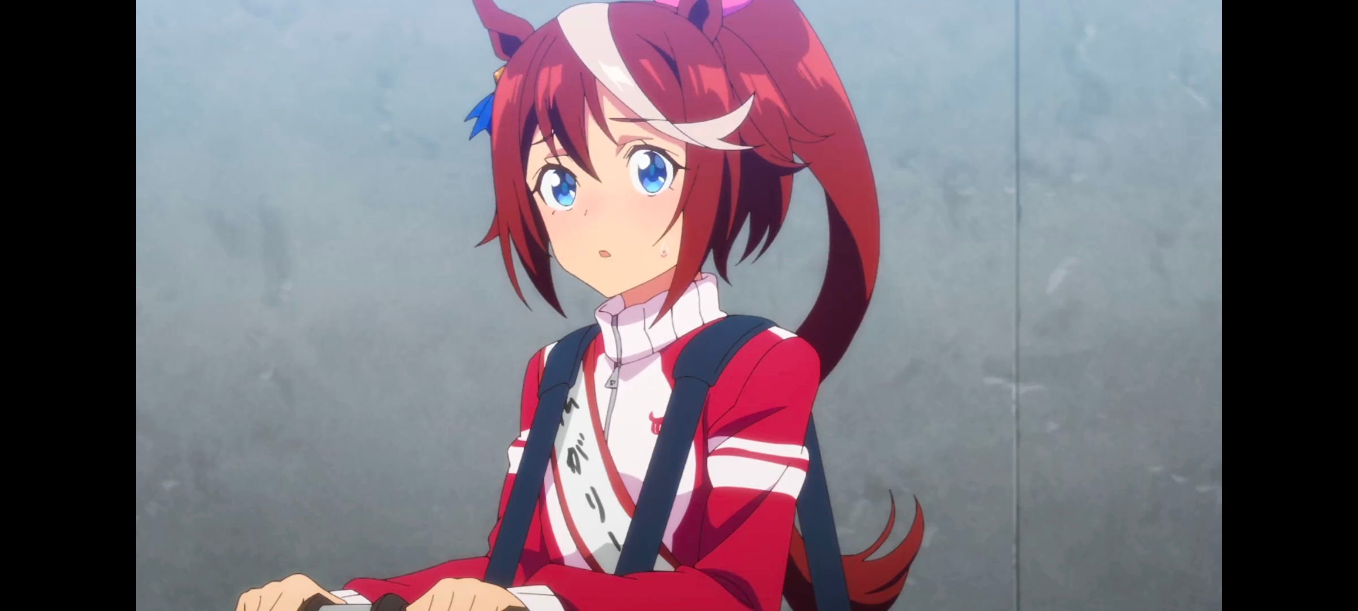 赛马娘,赛马娘PrettyDreby,赛马娘第二季,动画,动漫,番剧,二次元,ACG