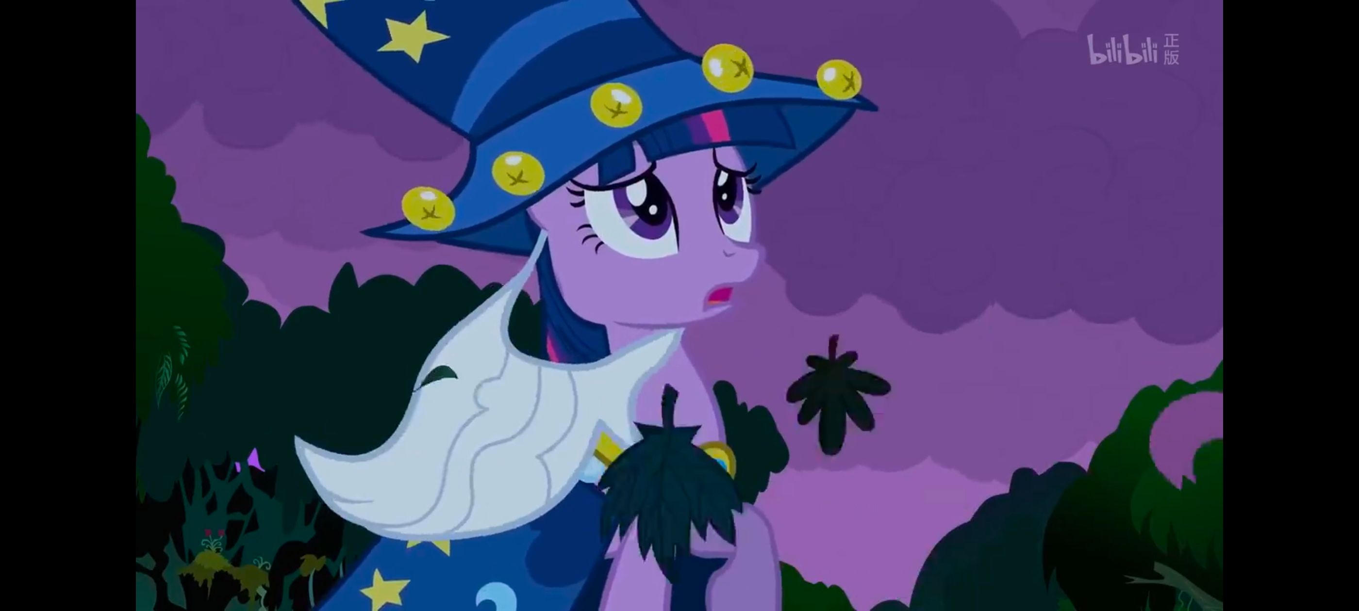 小马宝莉,小马宝莉友谊魔法,彩虹小马,我的小马驹,动漫,动画,番剧,ACG