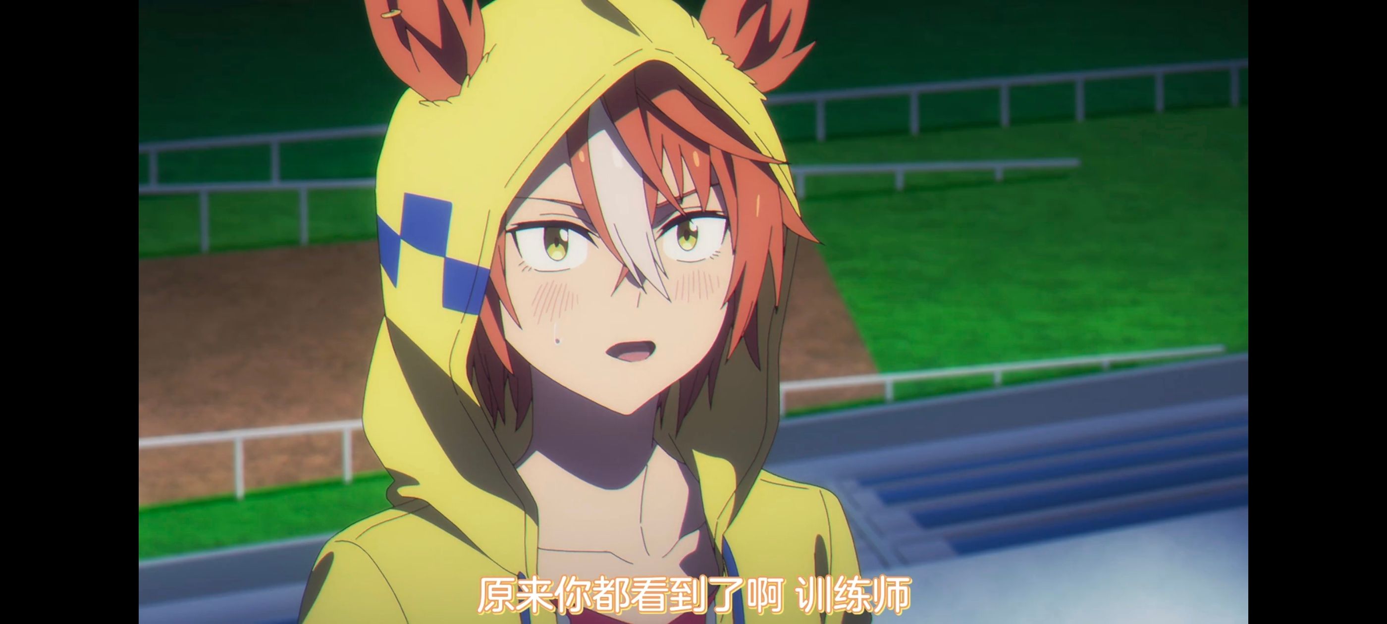 赛马娘,赛马娘PrettyDreby,芦毛灰姑娘,赛马娘芦毛灰姑娘,动画,动漫,番剧,ACG