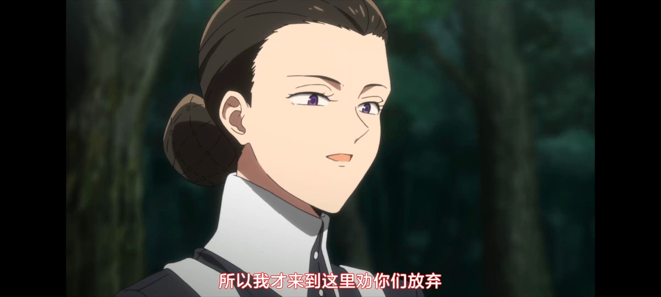 约定的梦幻岛,动画,动漫,番剧,二次元,ACG