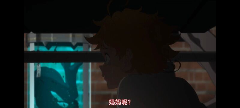 约定的梦幻岛,动画,动漫,番剧,ACG