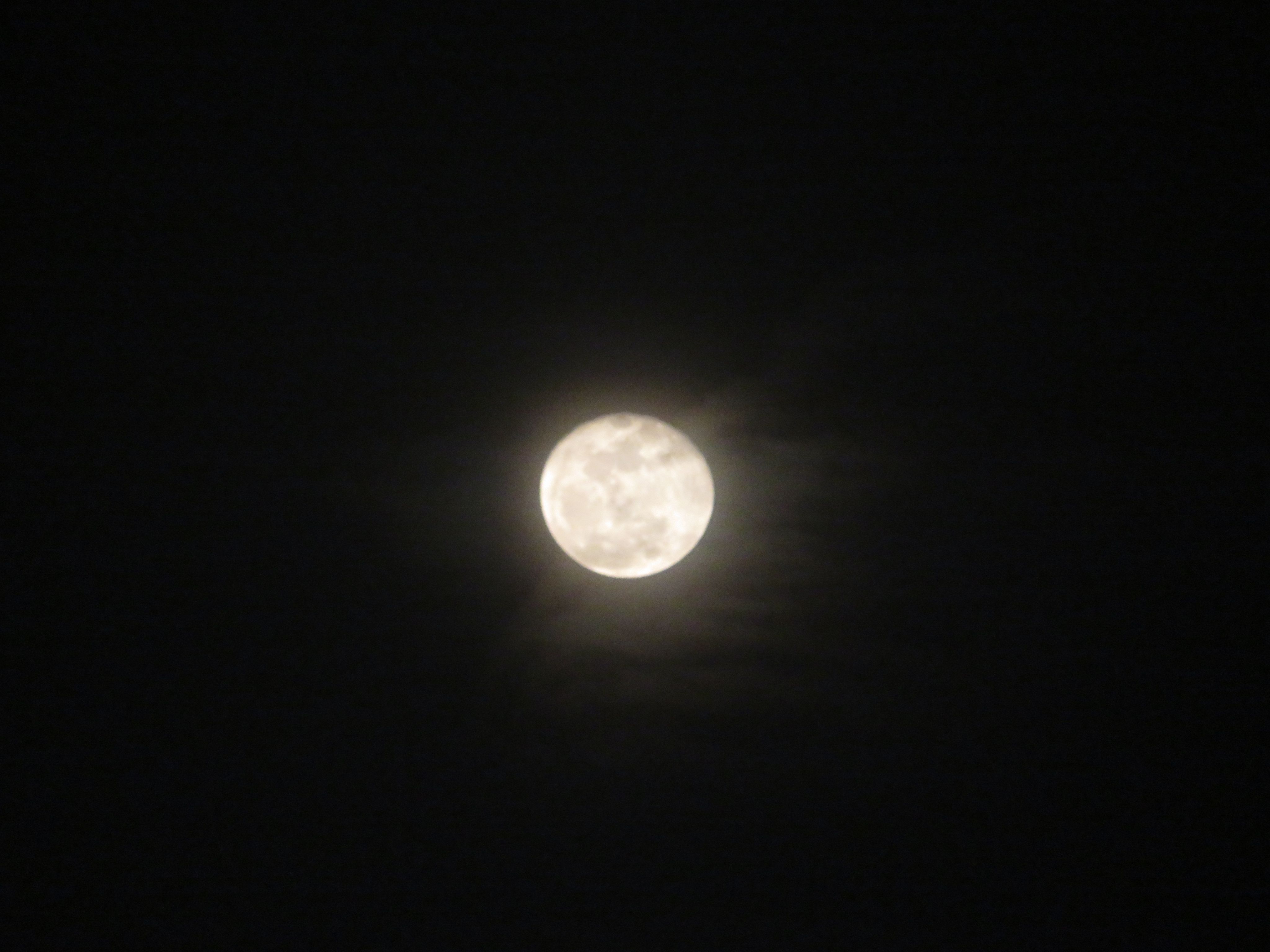 红月-状态刷新,月亮