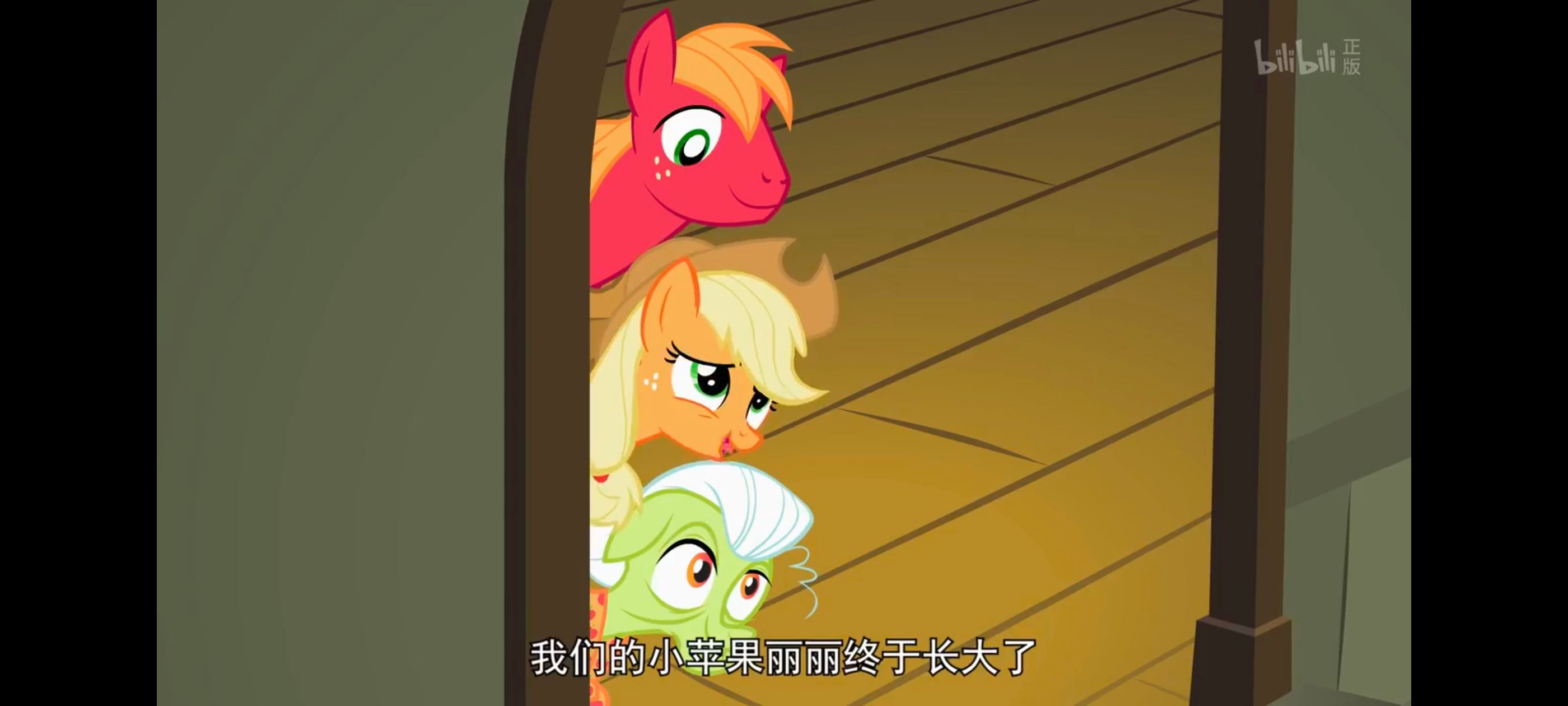 小马宝莉,彩虹小马,我的小马驹,动漫,动画,番剧,ACG