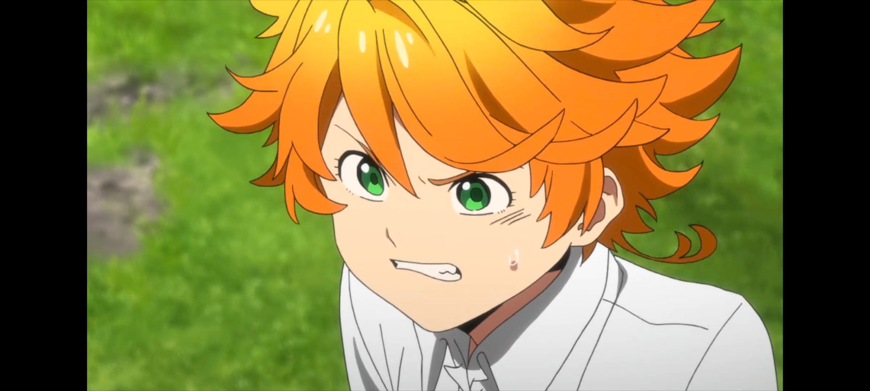 约定的梦幻岛,动画,动漫,番剧,二次元,ACG