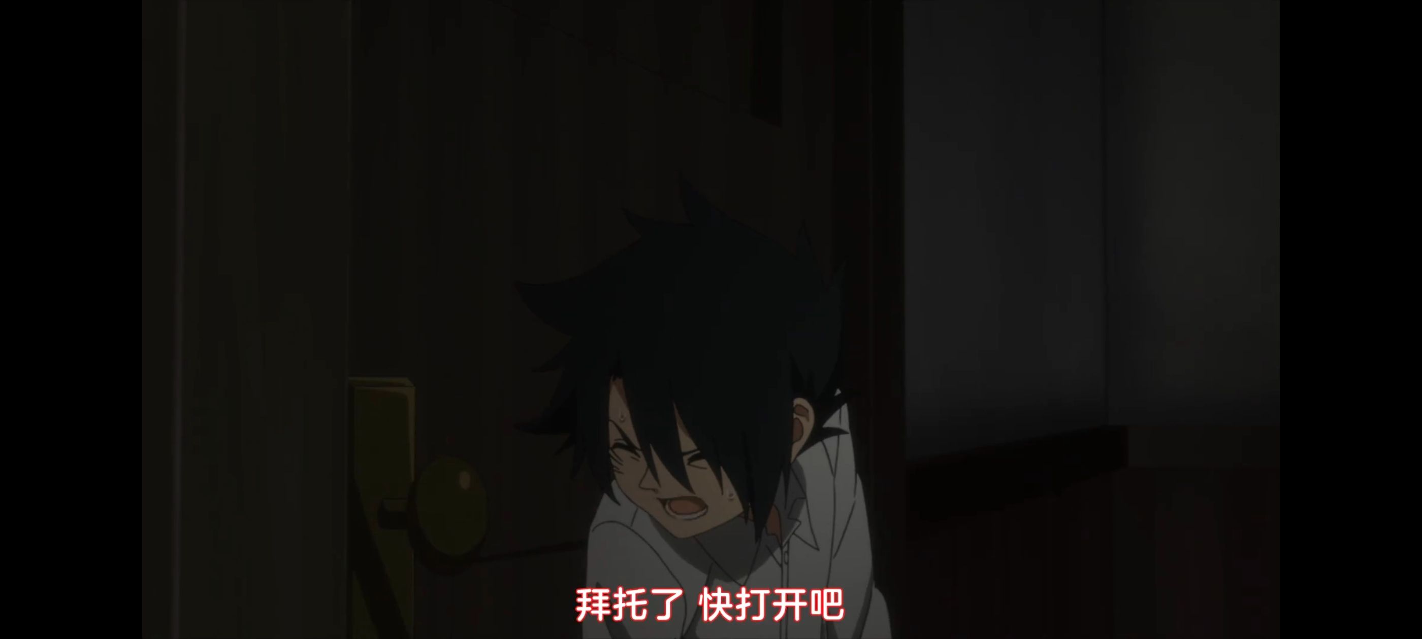 约定的梦幻岛,动画,动漫,番剧,二次元,ACG