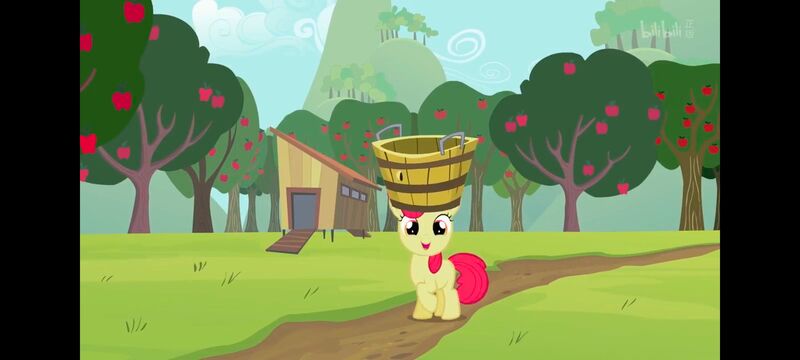 小马宝莉,小马宝莉友谊魔法,彩虹小马,我的小马驹,动画,动漫,番剧,ACG