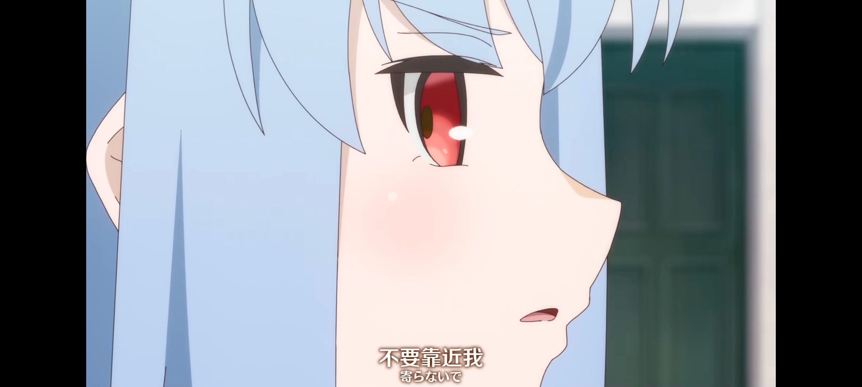 直至魔女消逝,直到某魔女死去,奇幻,动漫,动画,番剧,ACG