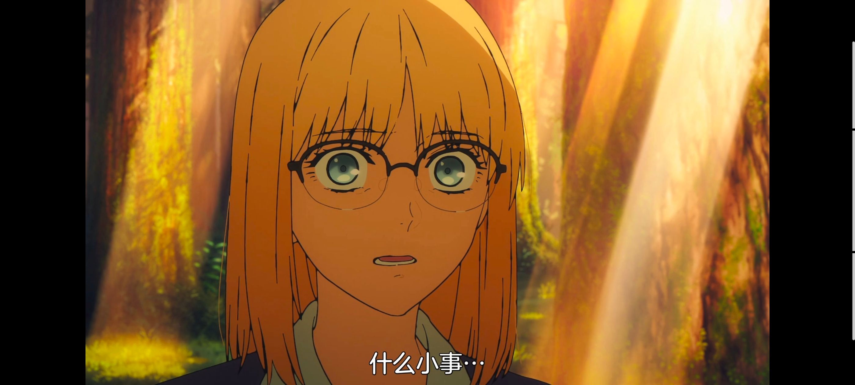 命运奇异赝品,FatestrangeFake,动画,动漫,番剧,ACG