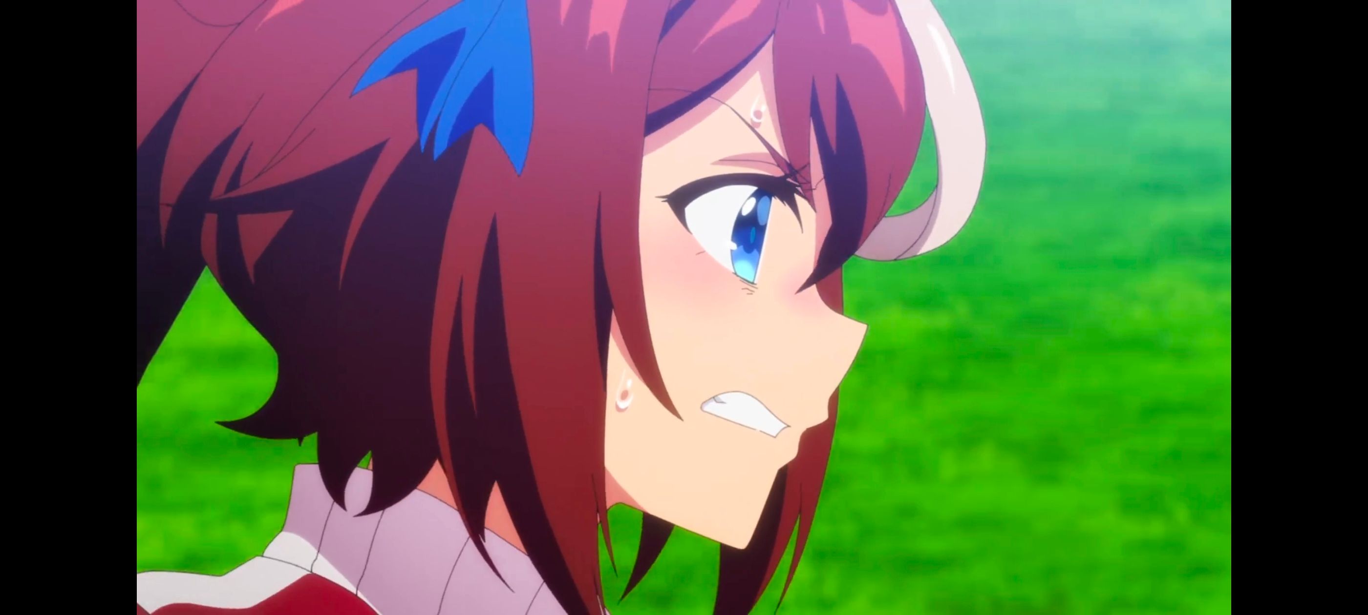 赛马娘,赛马娘第二季,动画,动漫,番剧,ACG