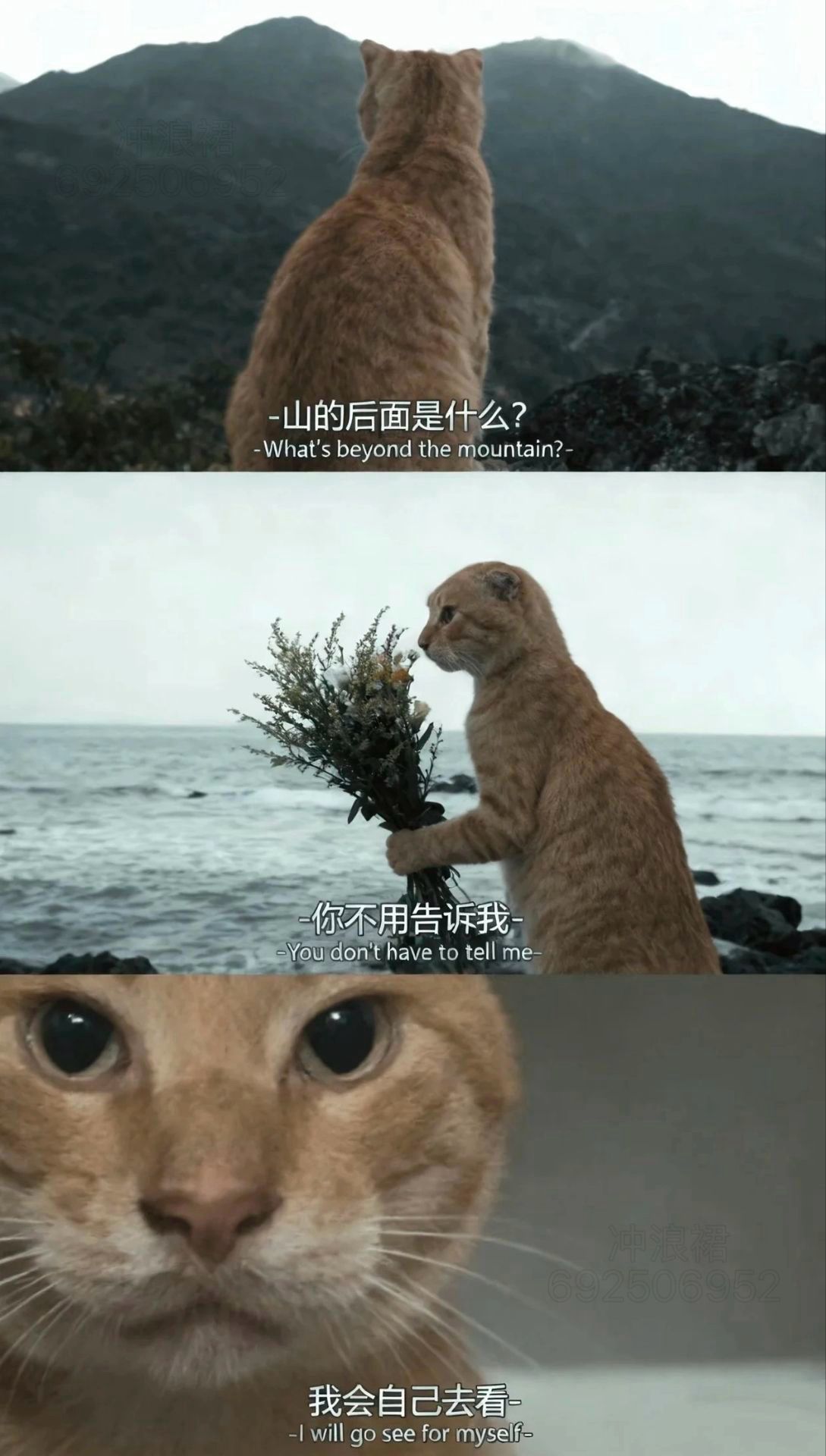 /static/76e97d5939b88e31dcdb83d4ad472fad4b49cf8917fc6ac8e36169ac5f36dd3f.jpg