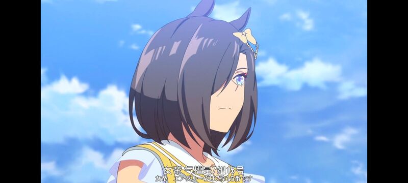 赛马娘,赛马娘PrettyDreby,动画,动漫,番剧,ACG