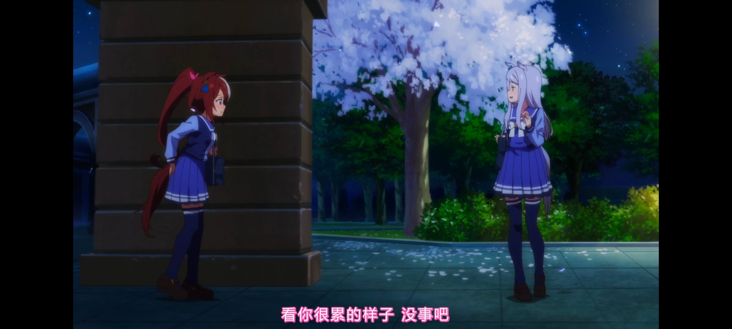 赛马娘,赛马娘PrettyDreby,赛马娘第二季,动画,动漫,番剧,ACG